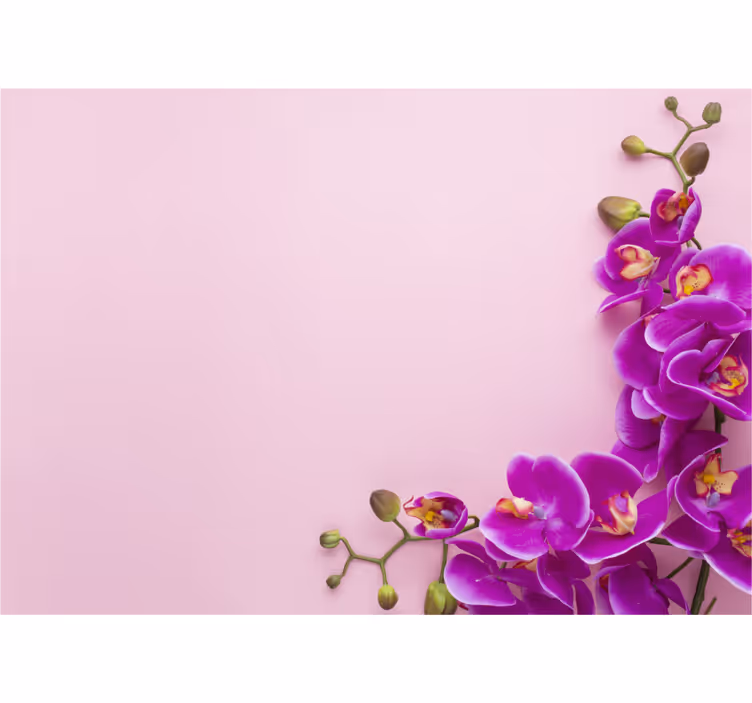 Roletai virtuvei su rožiniu fono ir orchidėjomis - „Tenstickers“