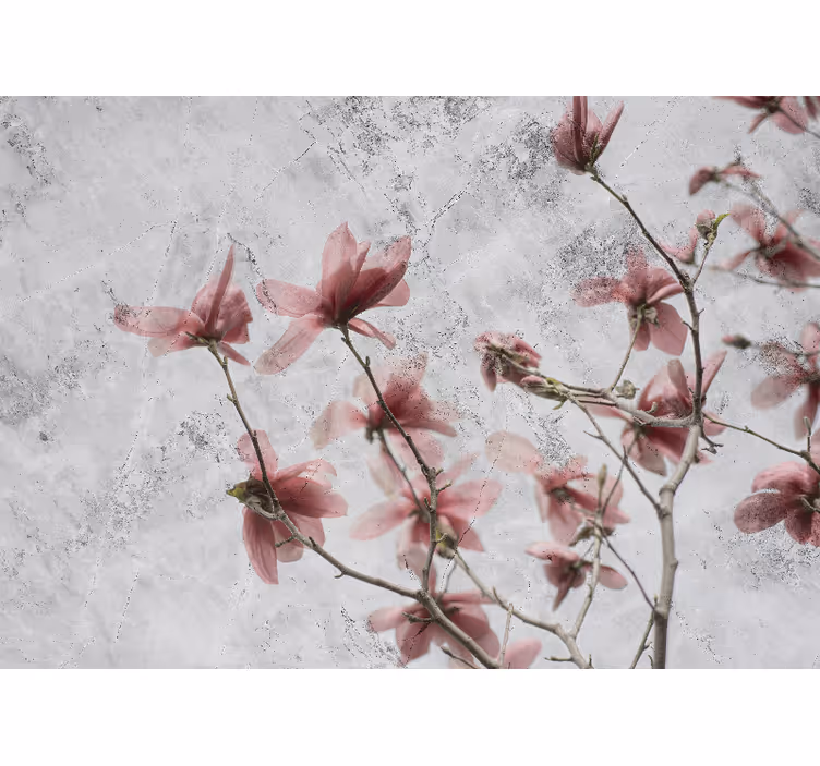 Roletai svetainė elegantiško glamūro magnolijos dizaino - „Tenstickers“