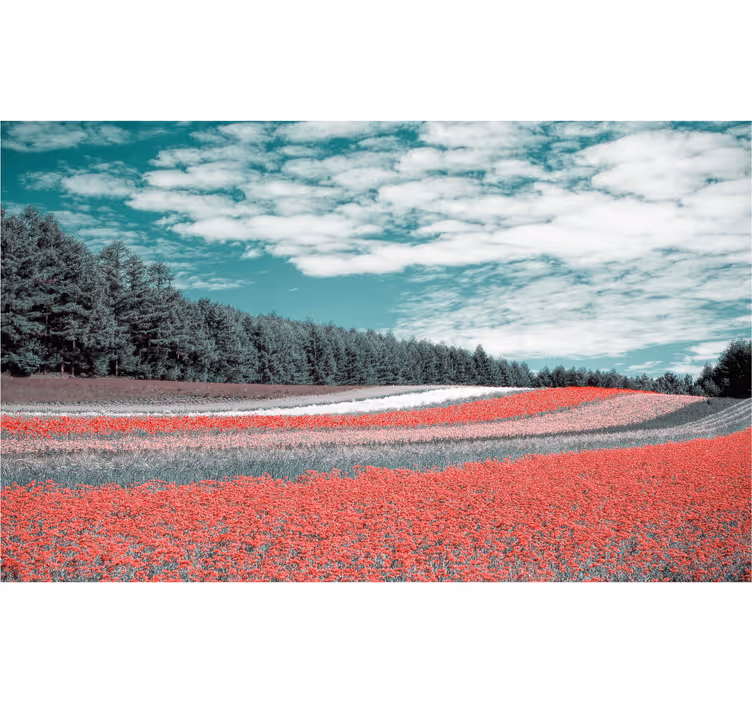 Roletai svetainė gėlių pievos įvairovė - „Tenstickers“