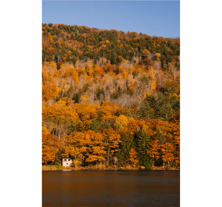 Roletai svetainė ežeras ir auksiniai medžiai - „Tenstickers“