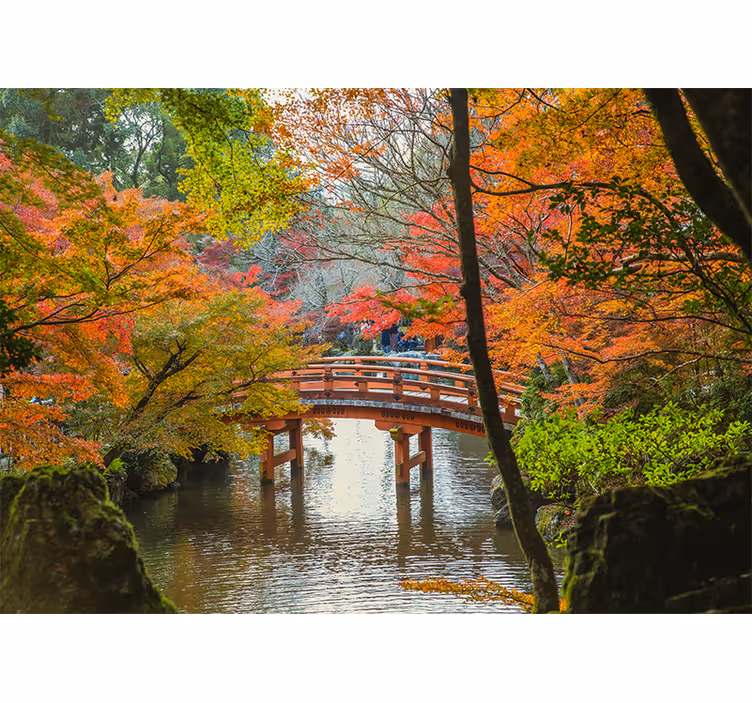 Roletai svetainė japonų sodo miškas - „Tenstickers“
