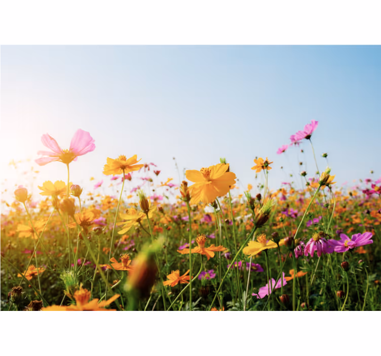 Roletai svetainė gėlių kompozicijų mišinys - „Tenstickers“