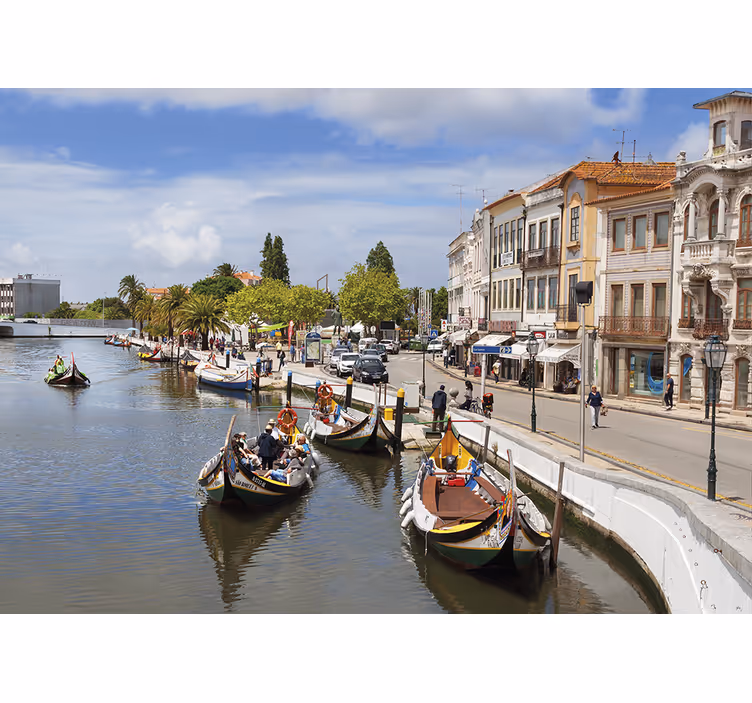 Roletai svetainė aveiro moličeiras - „Tenstickers“
