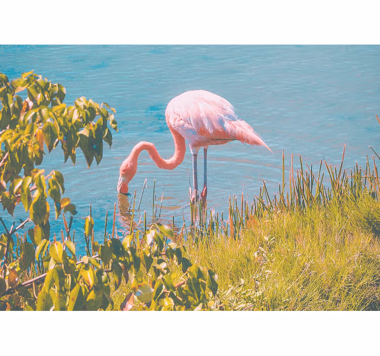 Roletai svetainė gražus flamingas prie vandens - „Tenstickers“
