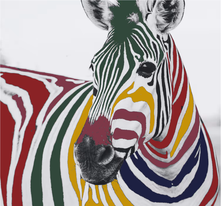 Roletai svetainė spalvinga zebra tapyba - „Tenstickers“