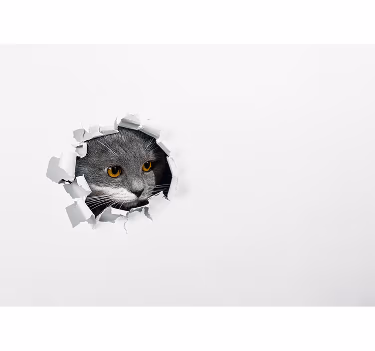 Roletai baltas mielas katinas - „Tenstickers“