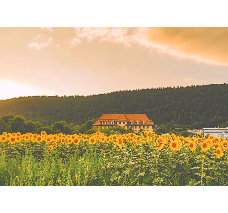 Roletai miegamajam gražus laukas su geltonais gėlėmis - „Tenstickers“