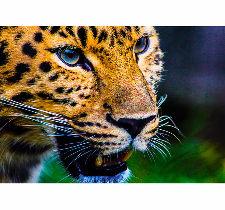 Roletai miegamajam leopardų veido motyvu - „Tenstickers“