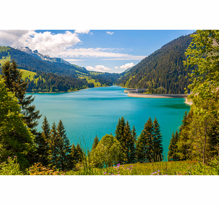Roletai svetainė lago longrin - „Tenstickers“