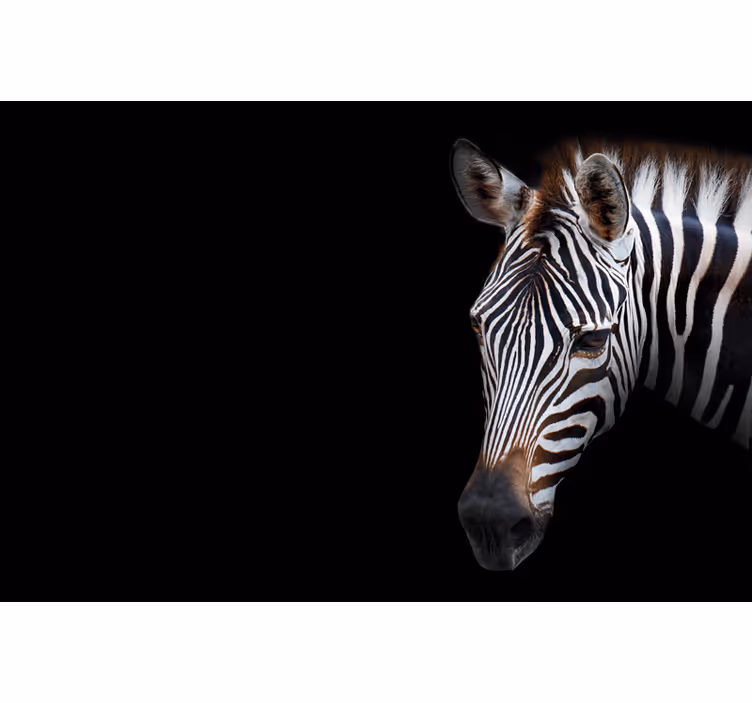 Roletai juoda zebra paveikslas - „Tenstickers“