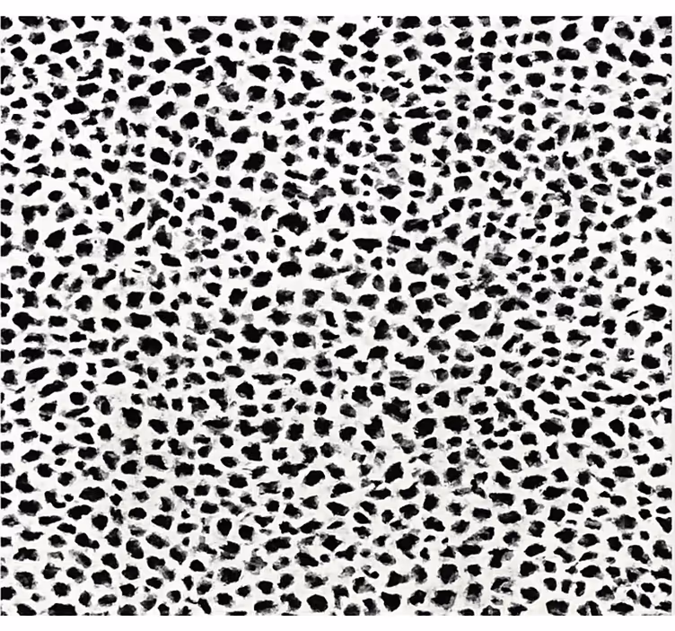 Roletai juoda monokrominis leopardų raštas - „Tenstickers“