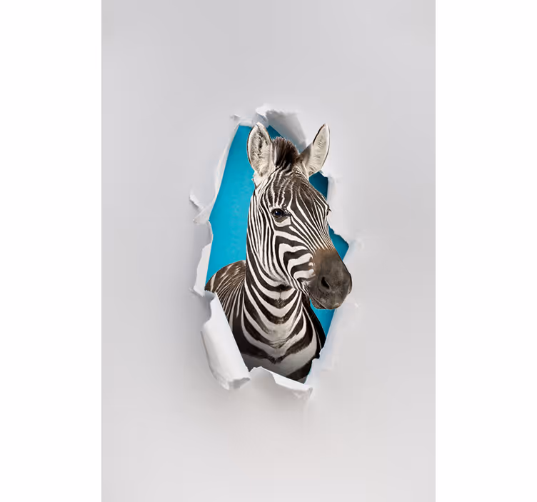Zebras įvairus gyvūnų roletai - „Tenstickers“