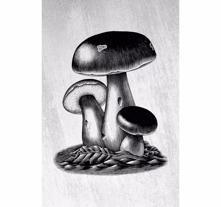 Grybų elegancija Roletai gėlės ir augalai - „Tenstickers“