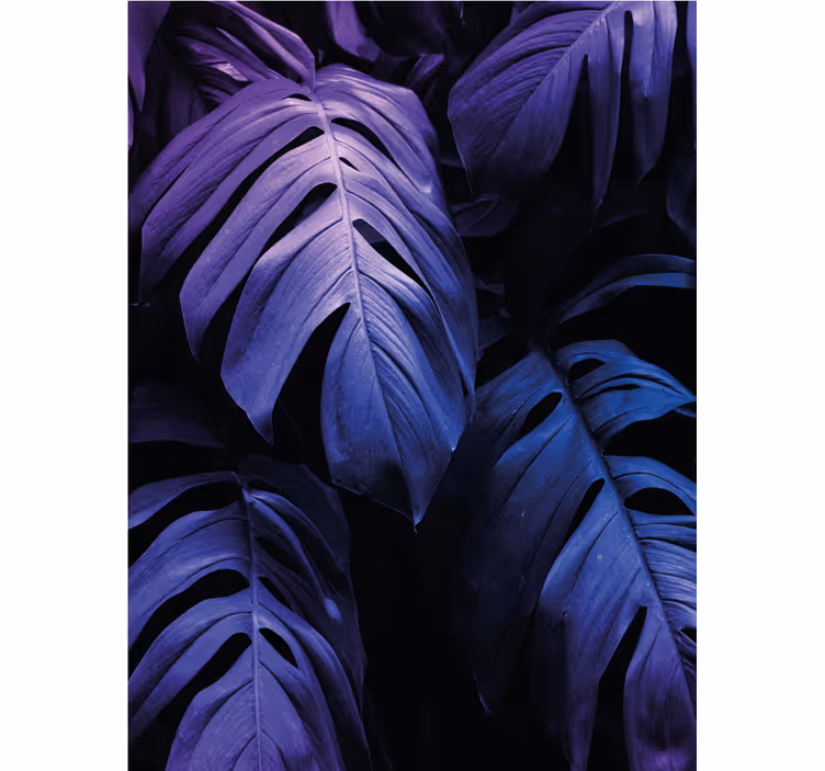 Monstera deliciosa lapija Roletai gėlės ir augalai - „Tenstickers“