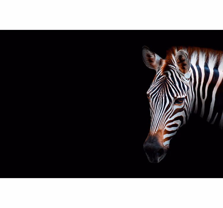 Afrikos stiliaus sienų freska zebra - „Tenstickers“