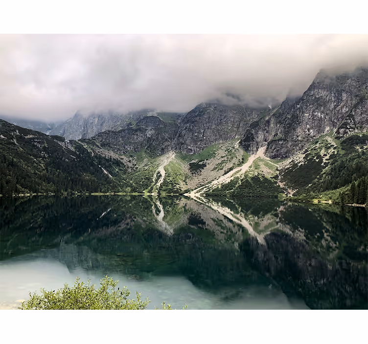 Žalios spalvos fotografiniai sienų tapetai morsko ežero - „Tenstickers“