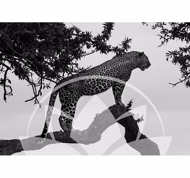 Leopardas medyje gyvūnų sienų freska - „Tenstickers“