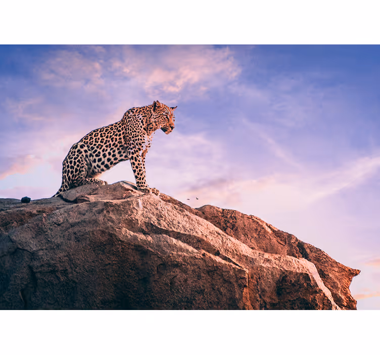 Leopardas ant uolos gyvūnų sienų freska - „Tenstickers“