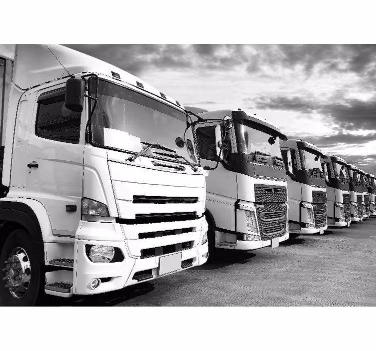 Sunkvežimiai išrikiuoti sieninį paveikslą - „Tenstickers“