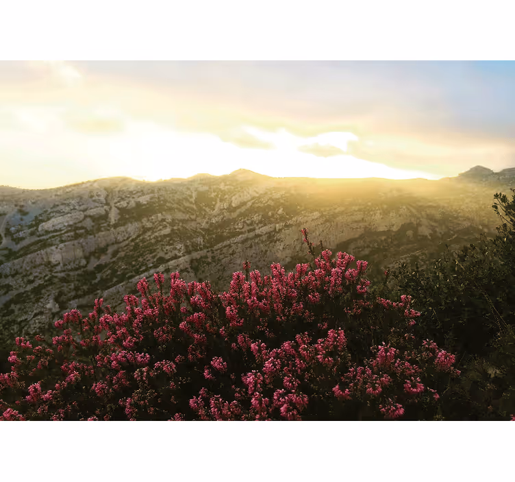 Gamtos sienų tapyba Žydinti rožinė flora - „Tenstickers“