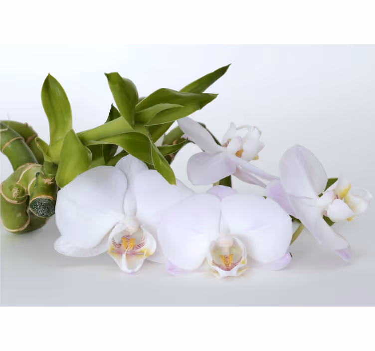 Orchidėjų sienų freska elegantiškas orchidėjų aranžavimas - „Tenstickers“