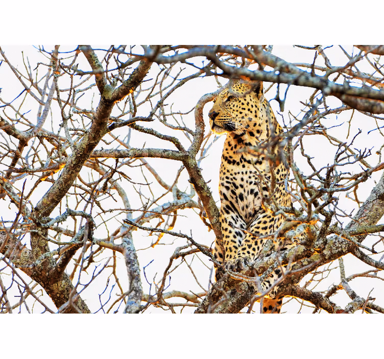 Leopardas tarp šakų gyvūnų sienų freska - „Tenstickers“