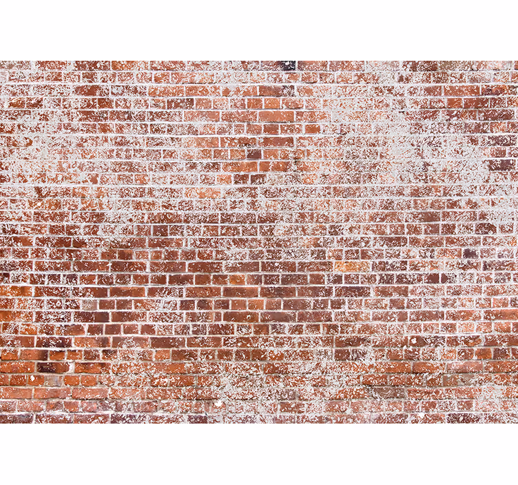 Plytos sienos freska tekstūrinė raudona siena - „Tenstickers“