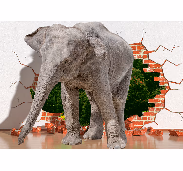 3d sienų freska dramblio siena - „Tenstickers“