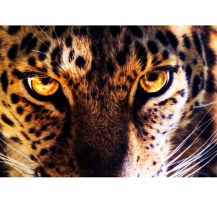 Liūto sienos freska karališko leopardo Žvilgsnis - „Tenstickers“