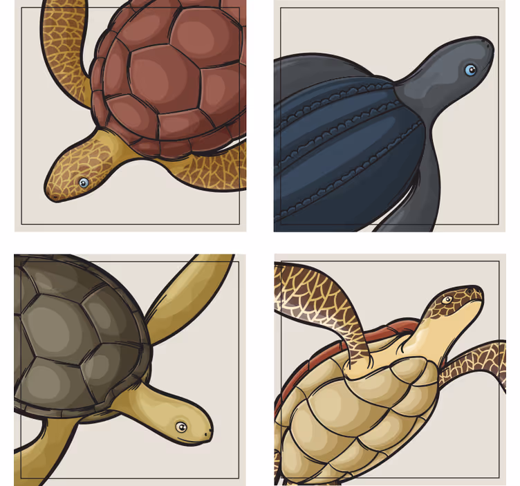 Geek padėkliukas spalvingomis vėžlių iliustracijomis - „Tenstickers“