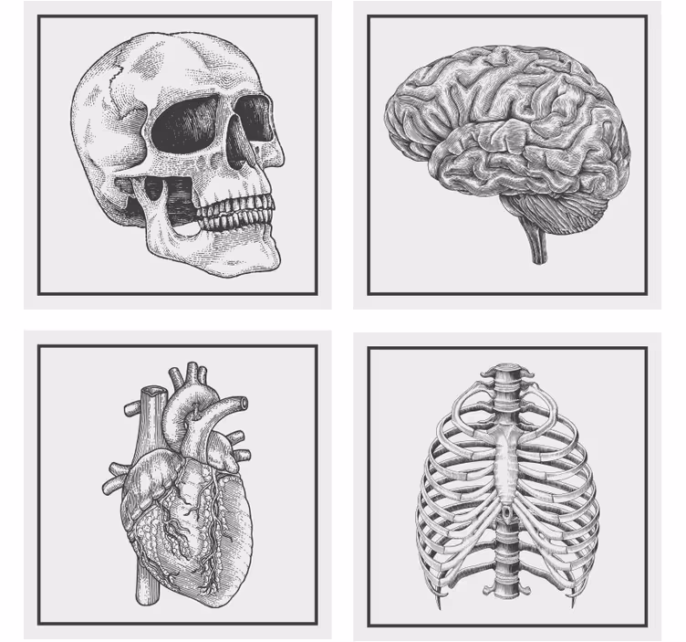 Geek padėkliukas anatominiu kaukolės smegenų širdies skeletu - „Tenstickers“