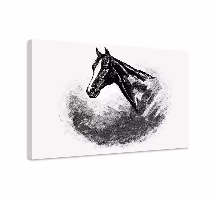 Drobė su grafito arkliais - „Tenstickers“