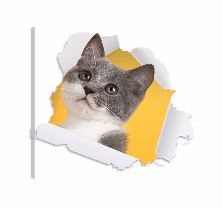 Drobė katė 3d katės lipdukas - „Tenstickers“