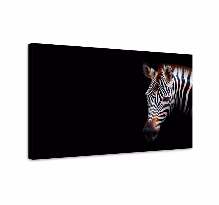 Drobė gyvunais zebra artimu planu - „Tenstickers“