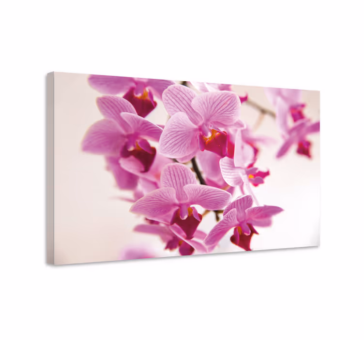 Drobė gėlės ir augalai Švelnios orchidėjų žydėjimo - „Tenstickers“