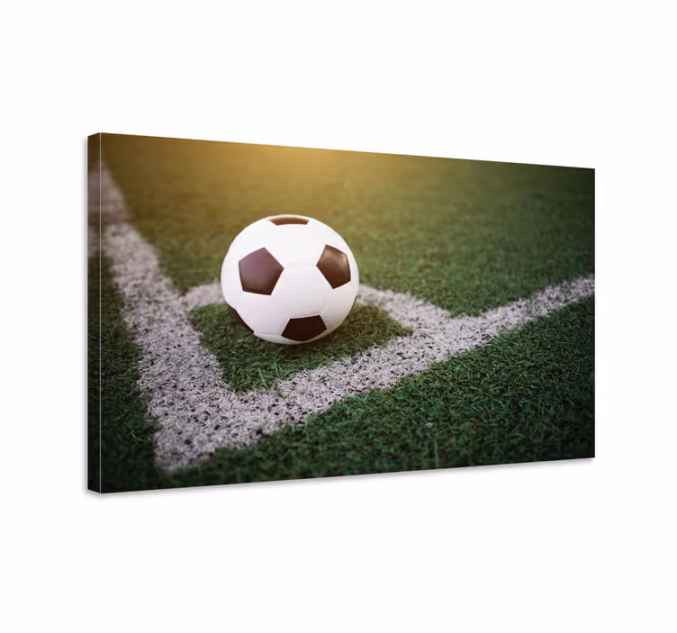 Gražus futbolas ant žolių paauglių paveikslaiatspaudų - „Tenstickers“