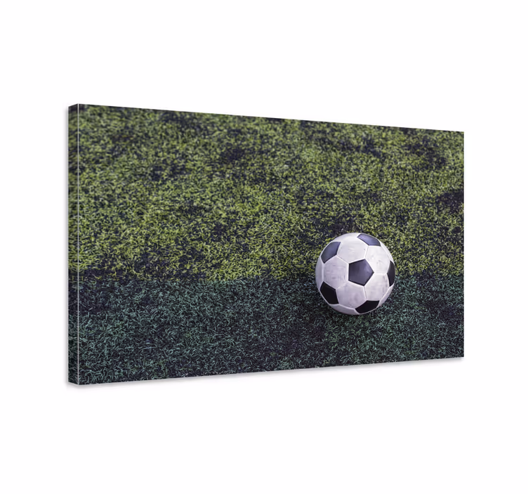 Drobė sportas futbolo kamuolys ant žolės - „Tenstickers“