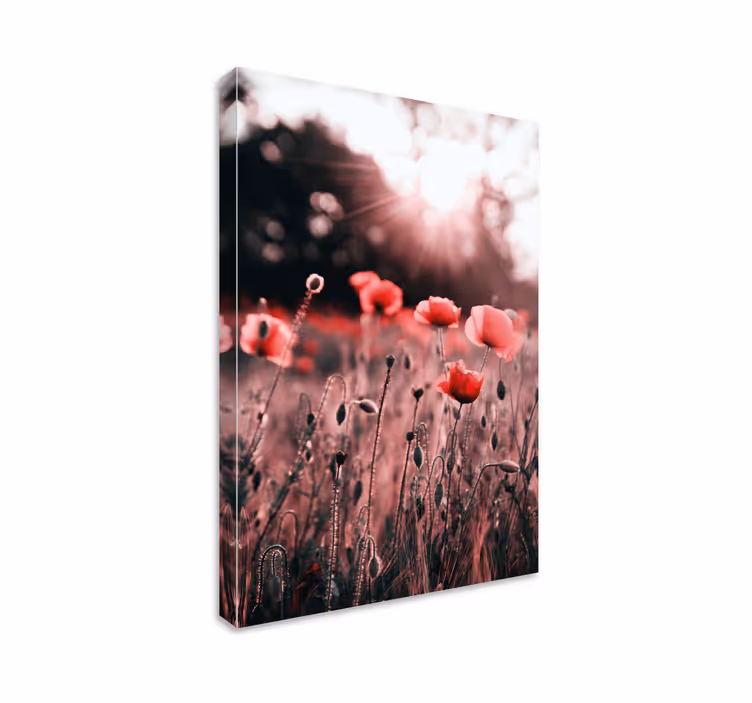 Drobė gėlės ir augalai poppy pievų spindesys - „Tenstickers“