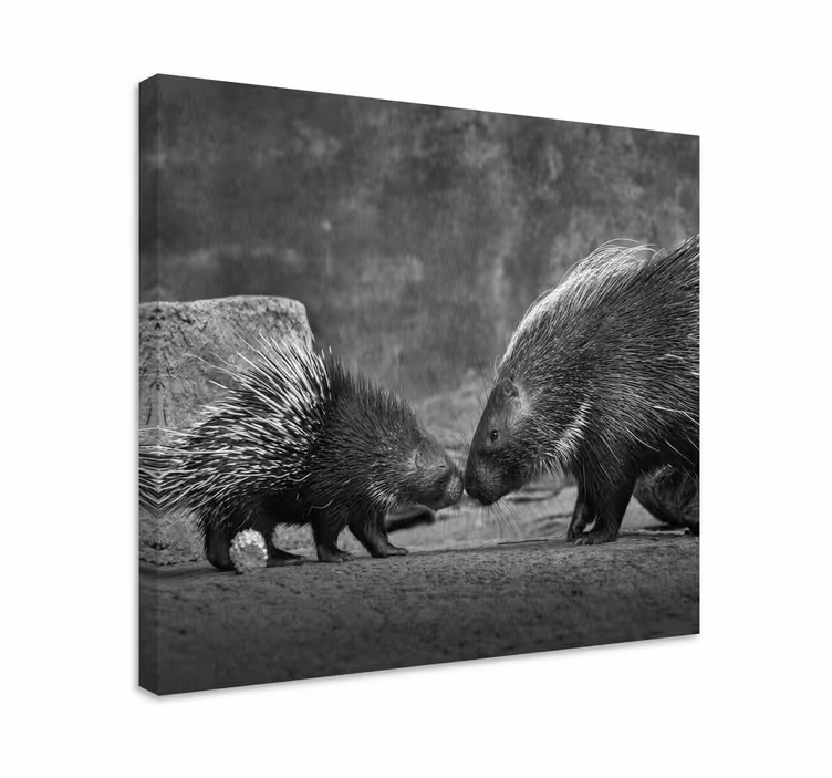Porcupine su kūdikių gyvūnų paveikslaiatspaudais - „Tenstickers“