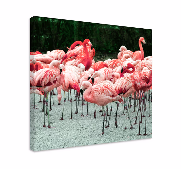 Drobė paukštis flamingų pulkas - „Tenstickers“