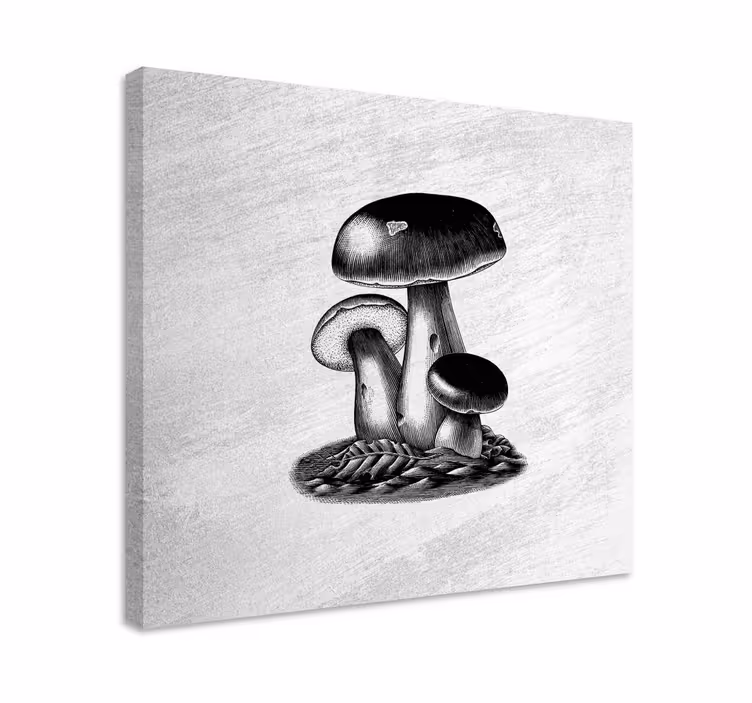 Drobė gėlės ir augalai grybų trio - „Tenstickers“