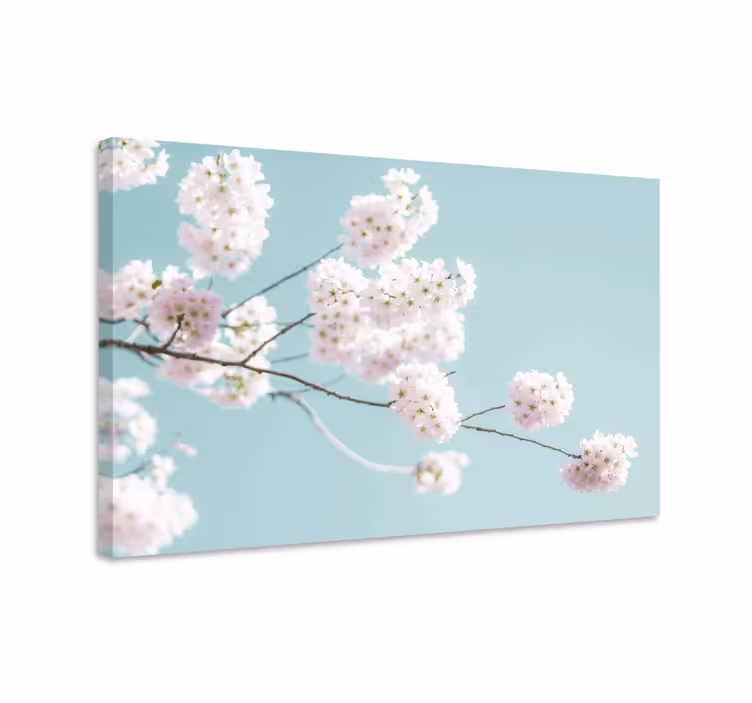 Drobė gėlės ir augalai sakura žydėjimo stiebas - „Tenstickers“