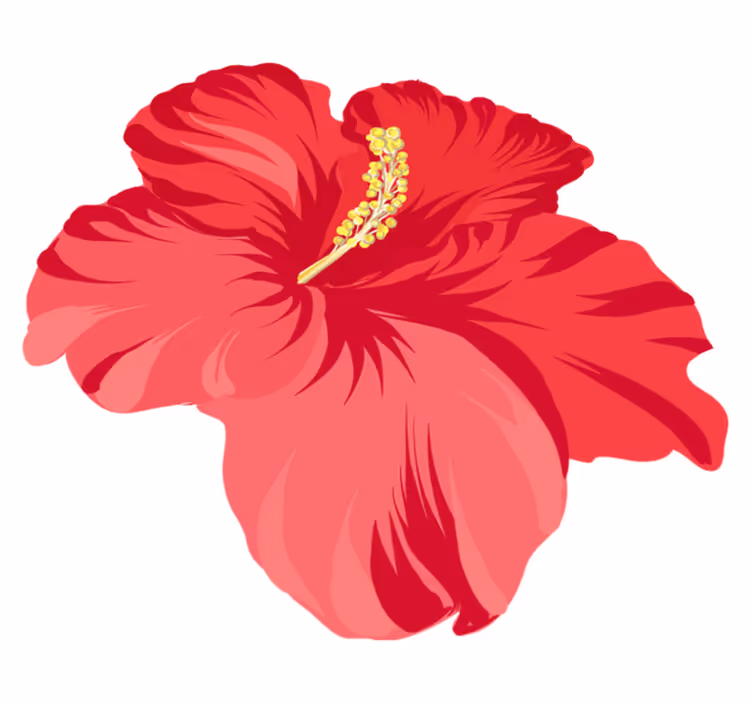 Gėlių rašto kilimėlis raudono hibisko rinkiniui - „Tenstickers“