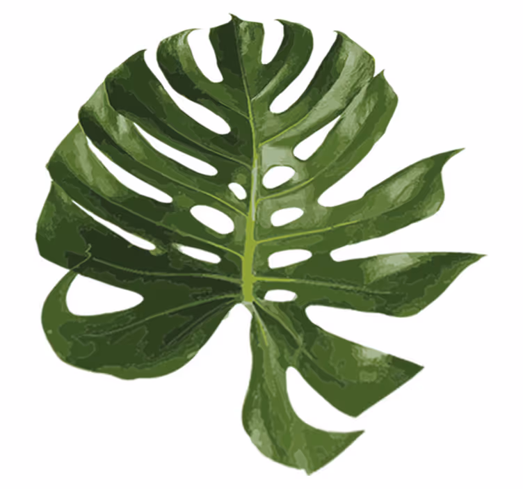 Gėlių rašto kilimėlis su skaniu monstera lapu - „Tenstickers“