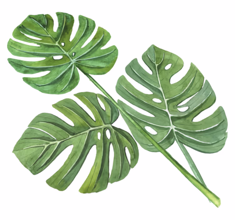 Gėlių rašto kilimėlis su monstera akvarele - „Tenstickers“