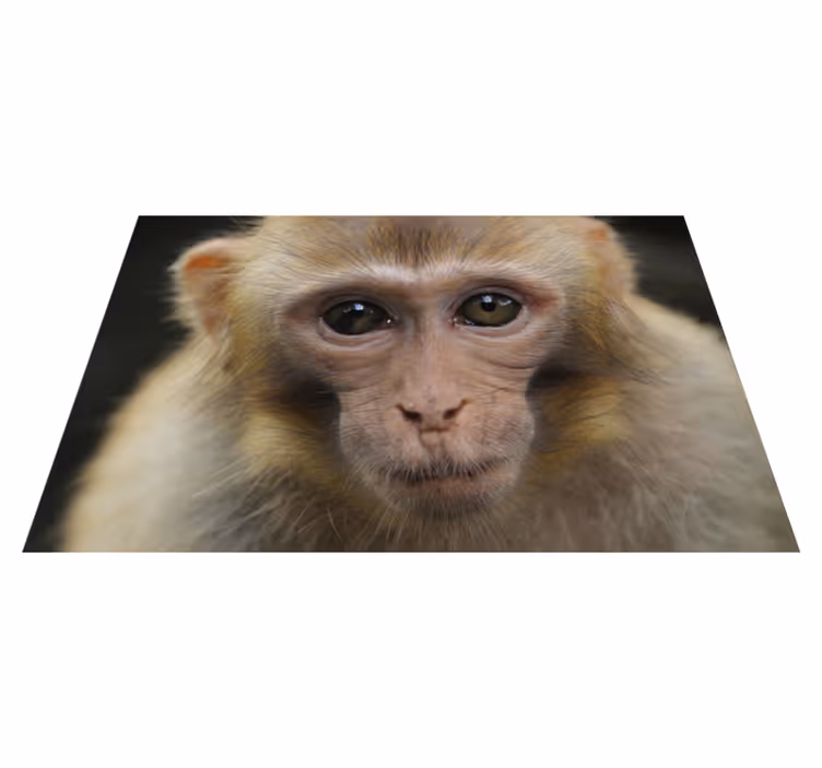 Mažylės beždžionėlės veidas gyvūnų vinilo kilimėlis - „Tenstickers“