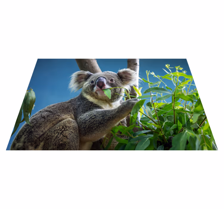 Gyvūnas mielas koala nešioja gyvūnų kilimėlį - „Tenstickers“