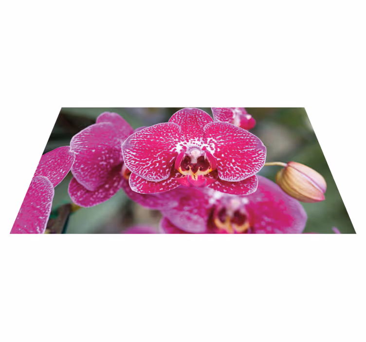 Purpurinis orchidėjos arti gėlių kilimas - „Tenstickers“