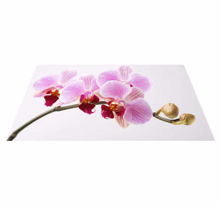 Rožinės orchidėjos dizainas gėlių rašto kilimėlis - „Tenstickers“
