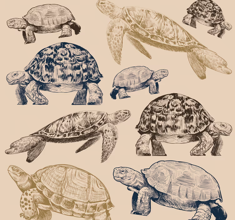 Vėžlių kolekcija gyvūnų tapetai - „Tenstickers“